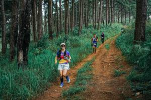 BIB: 
                            <button type="button" onclick="openModal(25659292)" class="btn btn-primary btn-sm float-right btn-popup" data-toggle="modal" data-target=".modal-high-quality">
                        <i class="fas fa-shopping-cart"></i> Add to Cart
                    </button>
                                            <button type="button" onclick="isThisMe(25659292, true)" class="btn btn-success btn-sm float-right btn-popup btn-isme hidden" data-toggle="tooltip" data-placement="bottom" title="นี่คือรูปของคุณใช่ไหม คลิกที่นี่เพื่อเอาเข้าอัลบั้ม">
                        <i class="fas fa-plus"></i> Add to album
                    </button>
                    <button type="button" onclick="isThisMe(25659292, false)" class="btn btn-warning btn-sm float-right btn-popup btn-isnotme hidden">
                        <i class="fas fa-ban"></i> Remove from album
                    </button>